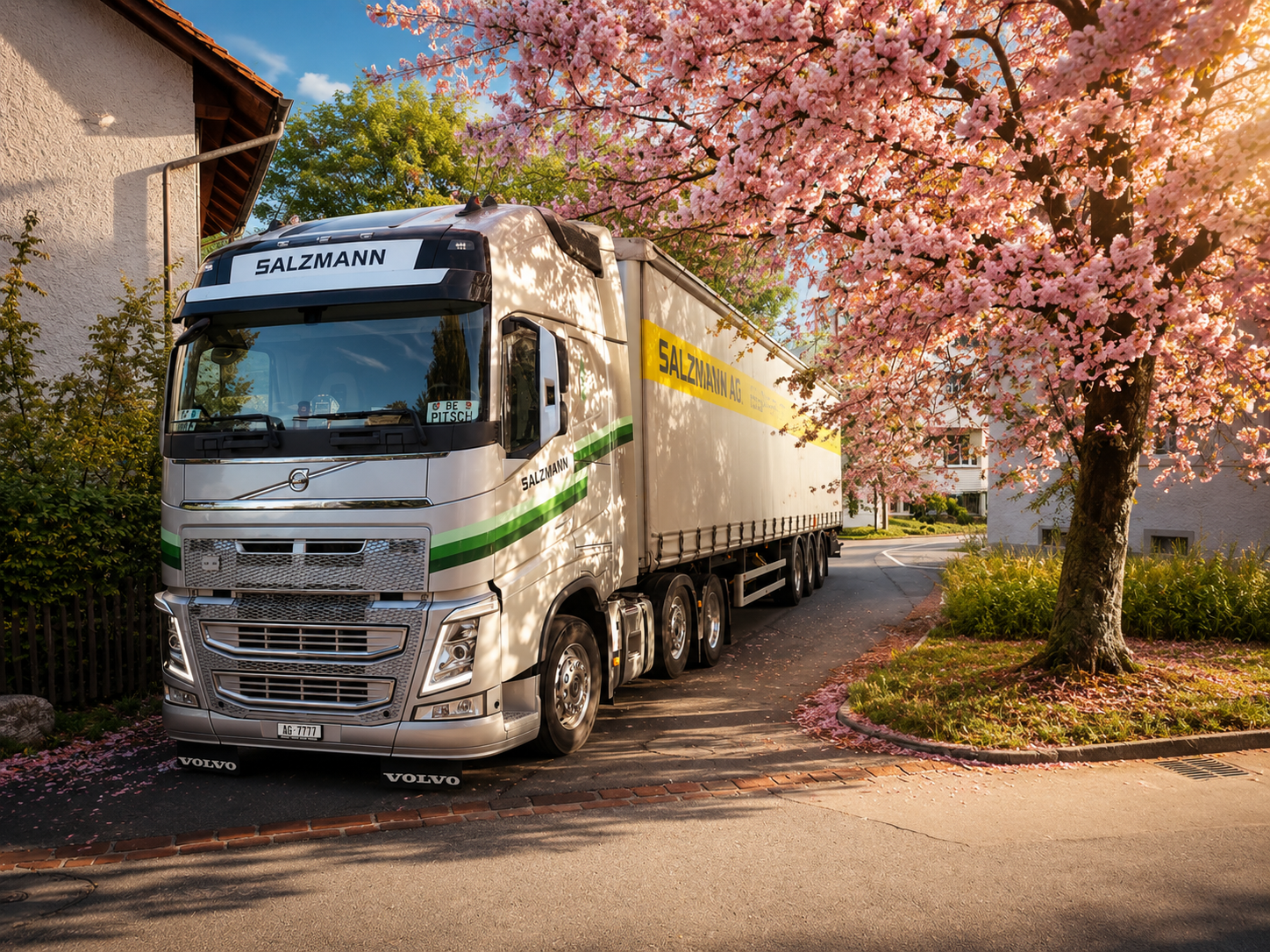 Salzmann AG Lastwagen